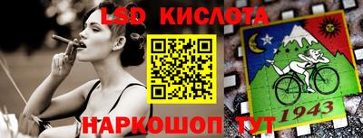 шишки Аргун