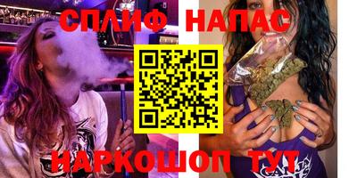 шишки Аргун