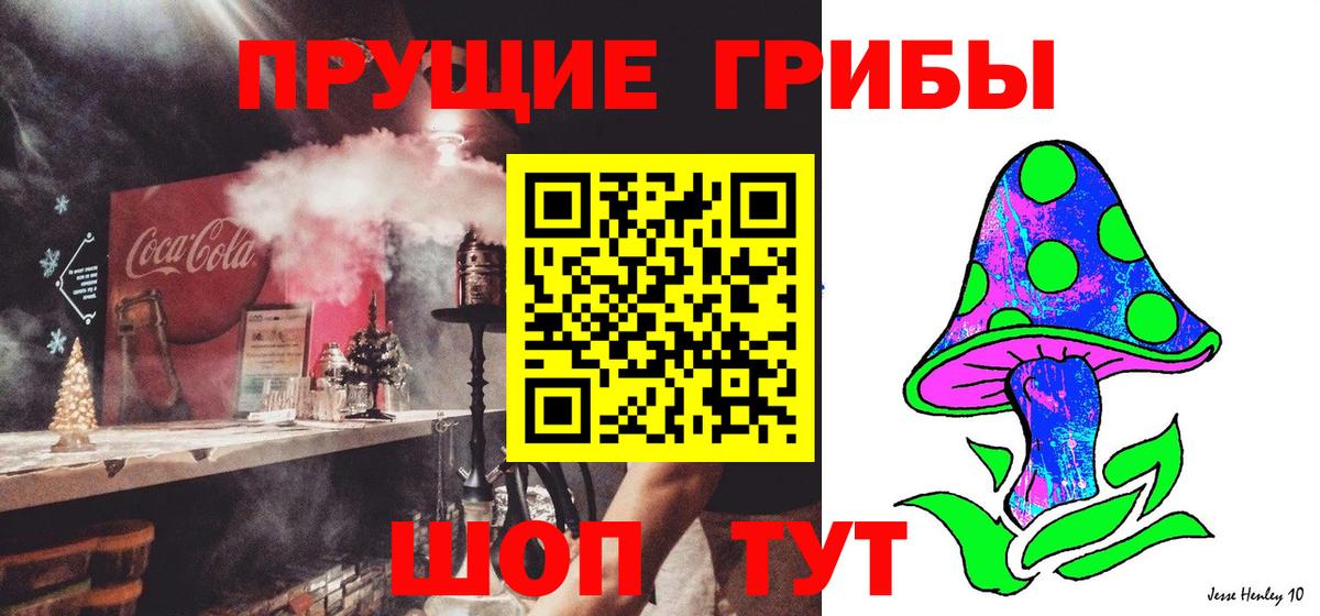 Верхняя Пышма  Галлюциногенные грибы GOLDEN TEACHER  Вход с VPN 