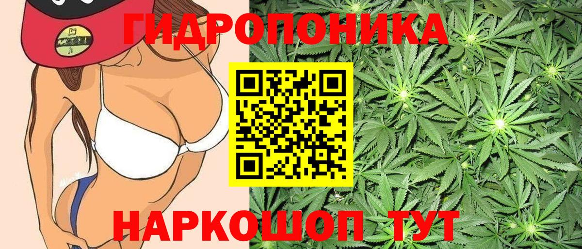 Каннабис ГИДРОПОН Верхняя Пышма